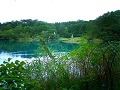 Fukushima